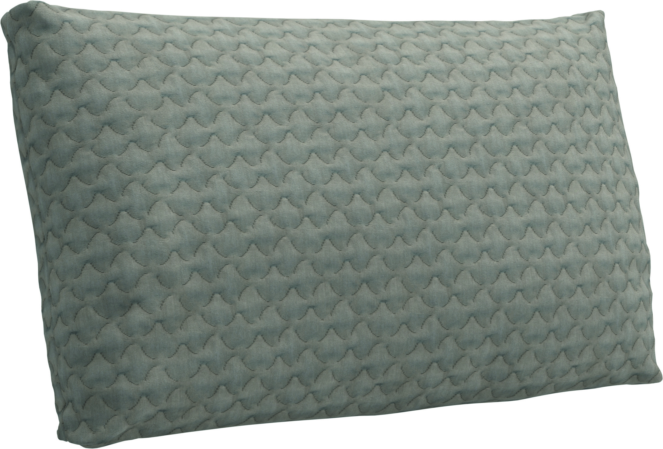 68cm x 42cm Rectangular Scatter Cushion